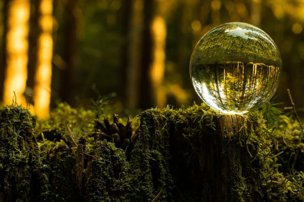 franz-michael-schneeberger-9WP70h_WcnY-unsplash-1-1024x683-1 franz-michael-schneeberger-9WP70h_WcnY-unsplash-1-1024x683-1