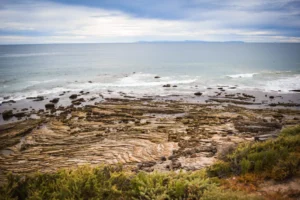 The Top 5 State Parks in California