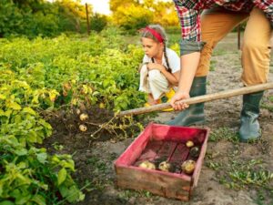 Buying Vacant Land