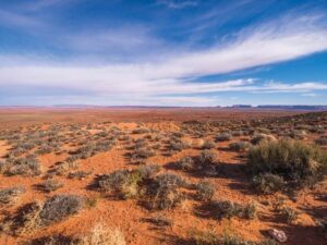 Top Ten States to Purchase Raw Land