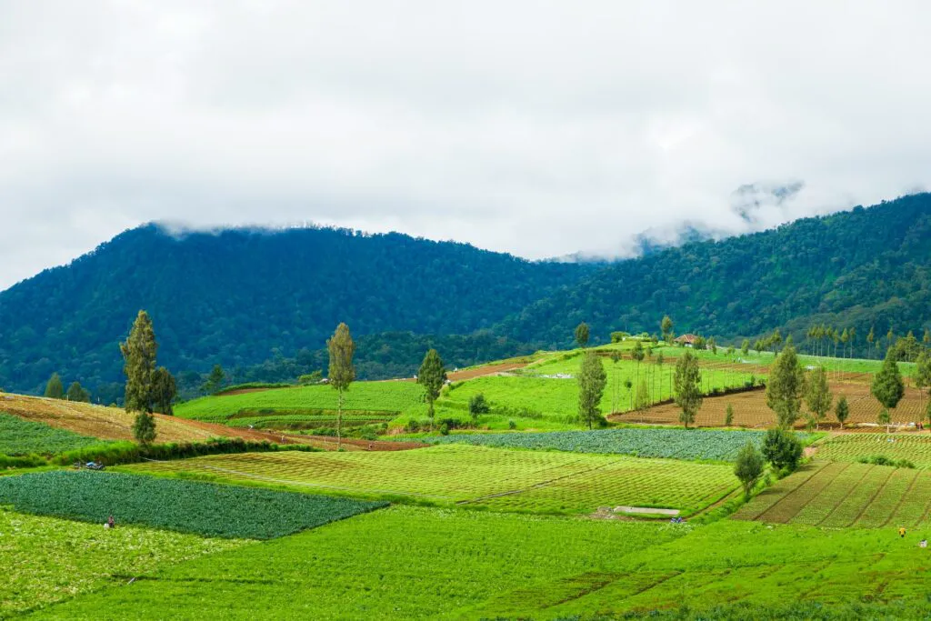 aldrin-rachman-pradana-k51kZBpbe0E-unsplash-1024x683-1 discountlots