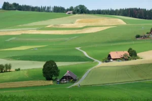 Green grass field during daytime