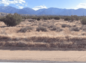 Vacant Lots Are for Sale