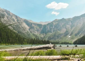 6 Unconventional Business Opportunities for Vacant Land