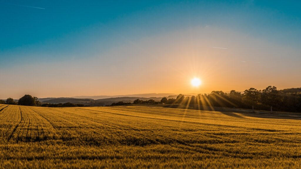 federico-respini-sYffw0LNr7s-unsplash-1024x576 federico-respini-sYffw0LNr7s-unsplash-1024x576