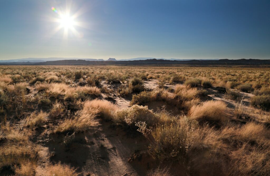 gary-yost-RQ29QUpUDeA-unsplash-1024x670 gary-yost-RQ29QUpUDeA-unsplash-1024x670