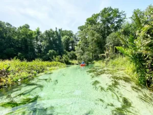 Explore the Top 8 Amazing Things about Citrus, Florida
