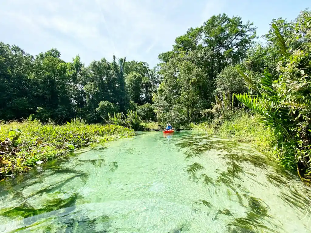 jacksonville-beach-moms-z78FxiNCA5w-unsplash-1024x768-1 Explore the Top 8 Amazing Things about Citrus, Florida