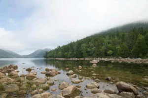 Look Into Any Existing Easements, Liens or Other Legal Issues