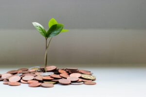 pile of coins holding plant in the middle