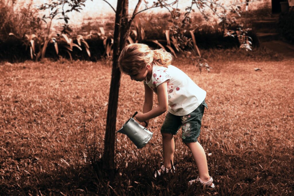 pedro-kummel-xU1mshiwvfY-unsplash-1024x683 pedro-kummel-xU1mshiwvfY-unsplash-1024x683