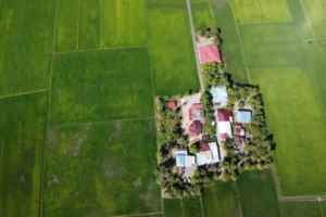 Green land parcel with small cottage 