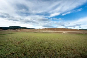 Things to Consider Before Buying Landlocked Property