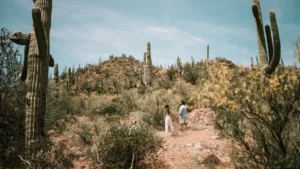 10 Great Ideas for Using Your Land in Hudspeth, Texas