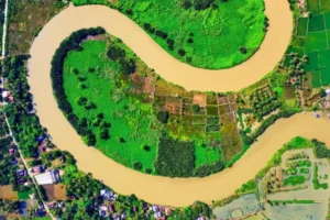 Top View of River Between Cropland