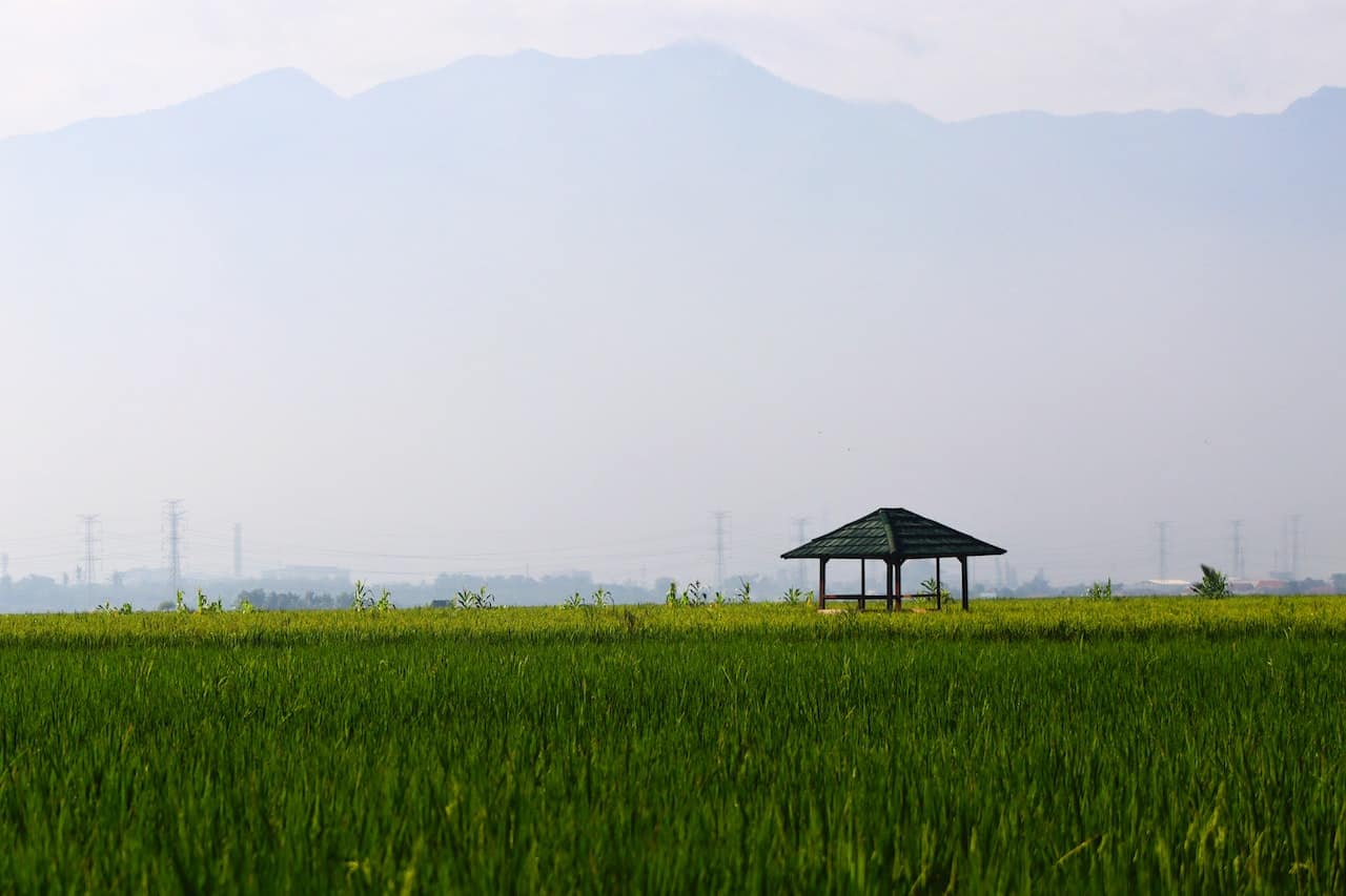 Wooden Shelter in the Farm Land as the perfect plot for a land investment