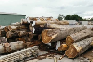 brown log lot