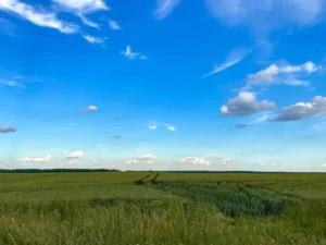 Unimproved land