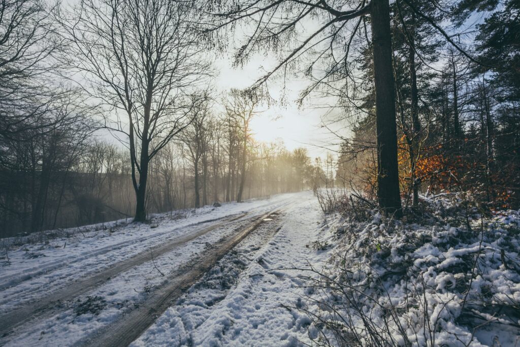 thom-holmes-F__8m0cS_vc-unsplash-1-1024x683-1 thom-holmes-F__8m0cS_vc-unsplash-1-1024x683-1