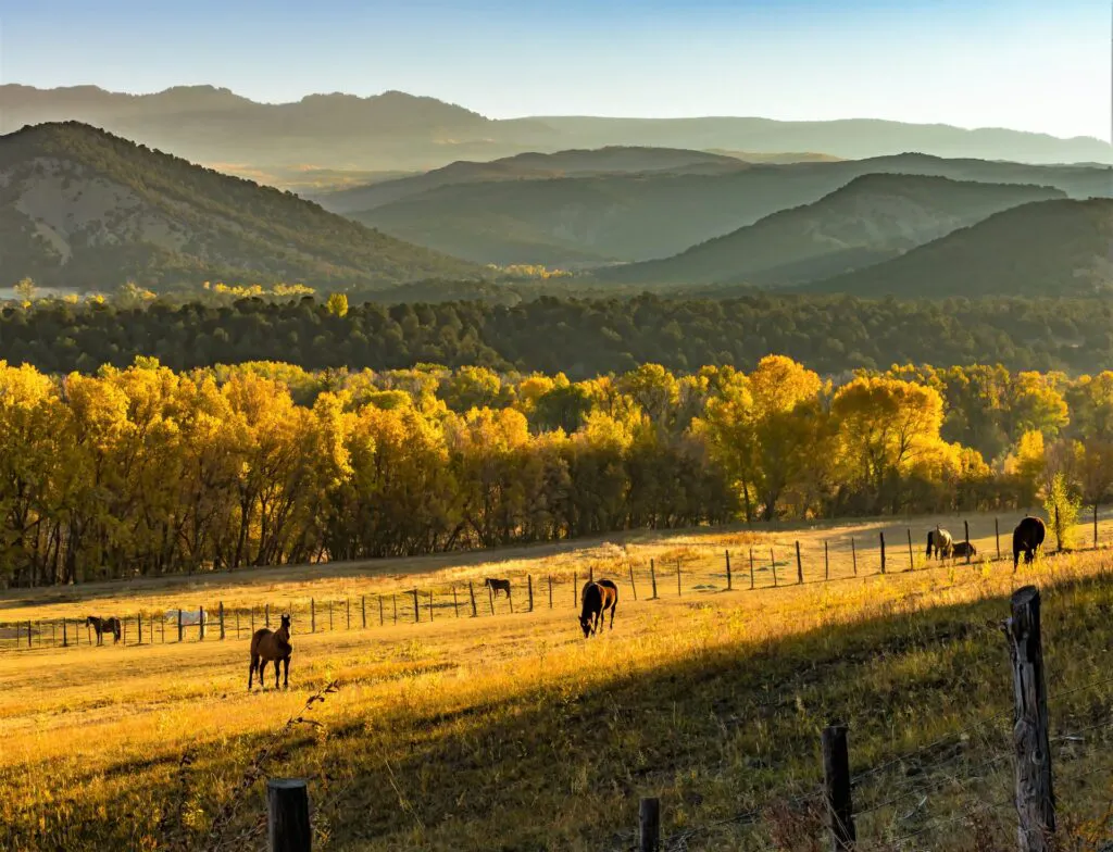 tim-peterson-Az8P8lOcgPA-unsplash-1024x784-1 What Is a Ranch? 5 Tips for Choosing a Place for Ranch