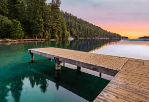 brown wooden dock on lake