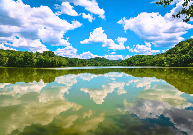 Chickasaw_State_Park