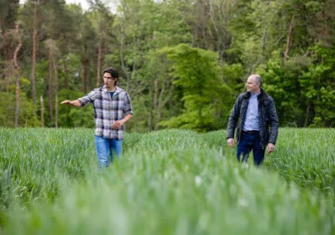 Buy Land